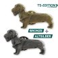 Preview: Pin/Anstecker – Motiv RAUHAARDACKEL in bronze und altsilber